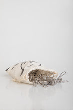 Load image into Gallery viewer, Innovative Stainless Steel Clothes Pegs, Cotton bag of 20 units + 15 FREE PEGS